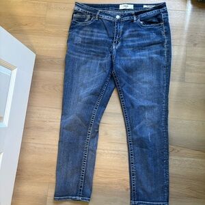 Size 16 Woman Skinny Blue Jeans by VGS